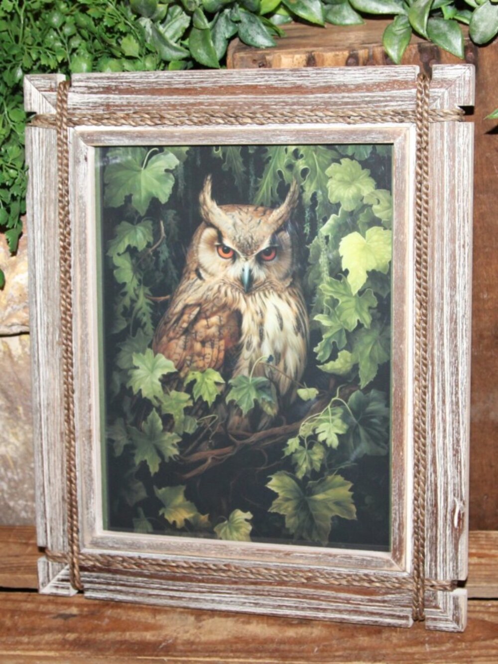 NEW Rustic French Country Farmhouse Woodland Owl Wall Decor or Prop Picture